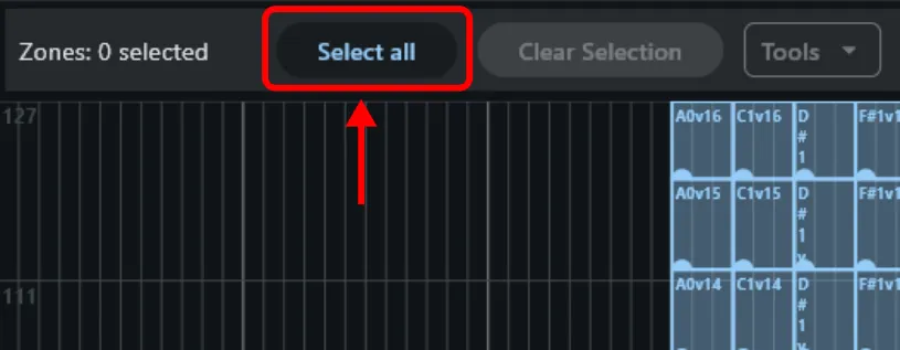 Select-all tool button above the zone map